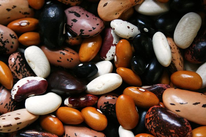 Haricots Noirs Pays De La Loire-2,5kg